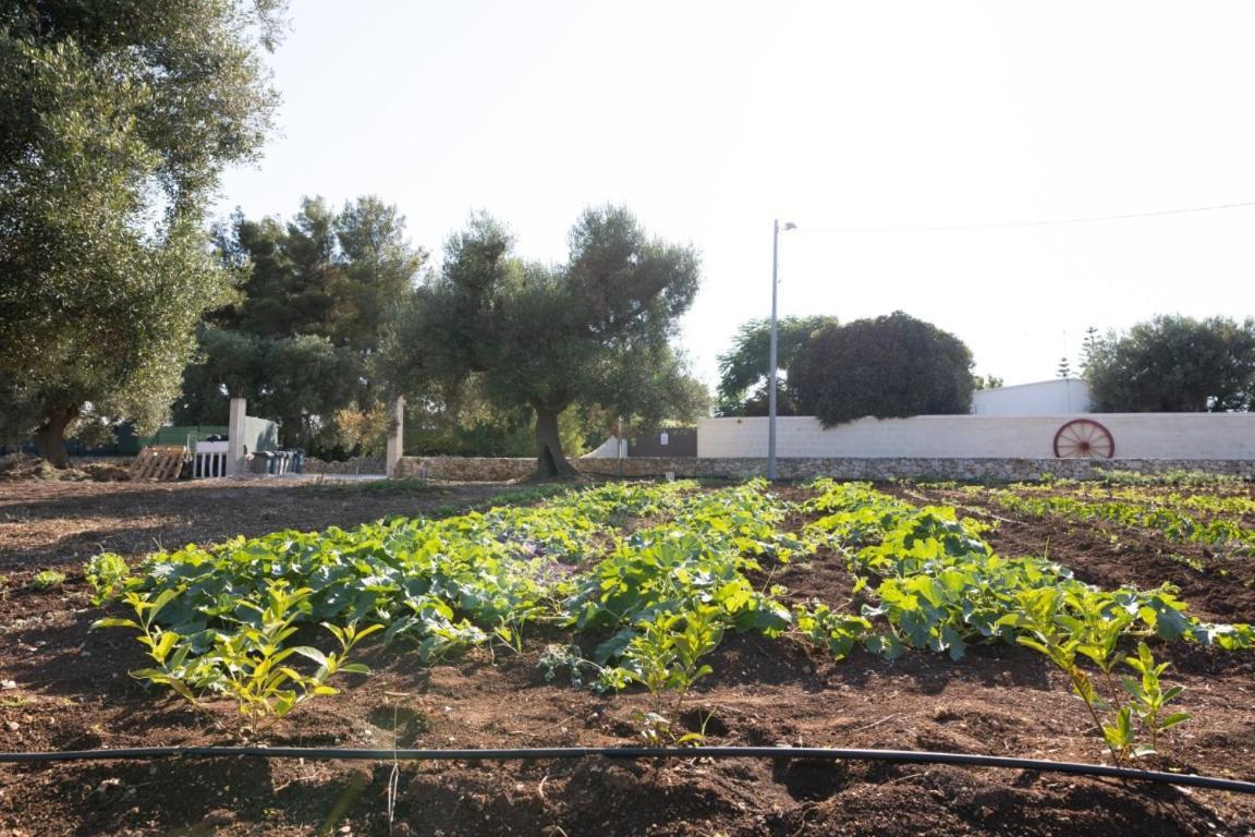Agrifamily Village * San Vito dei Normanni