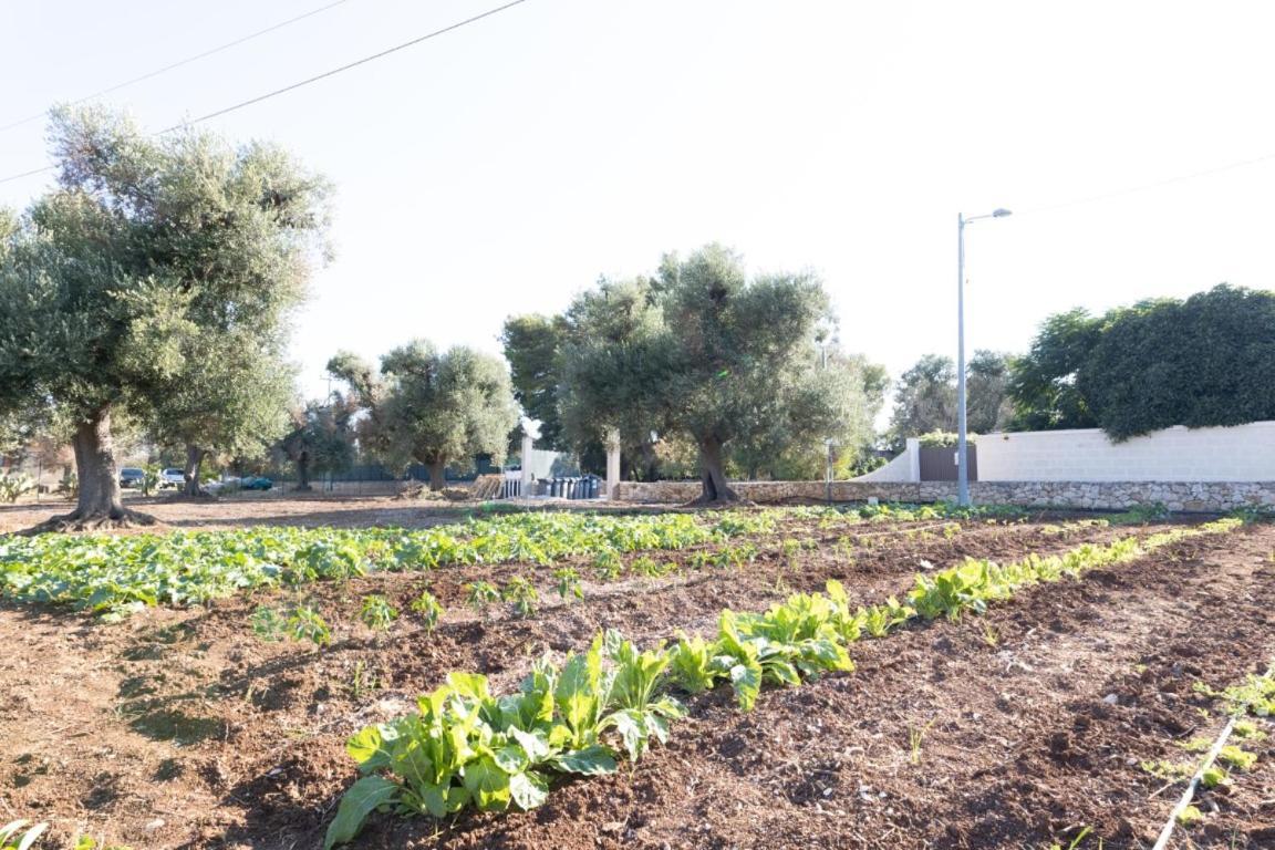 Agrifamily Village Aparthotel *