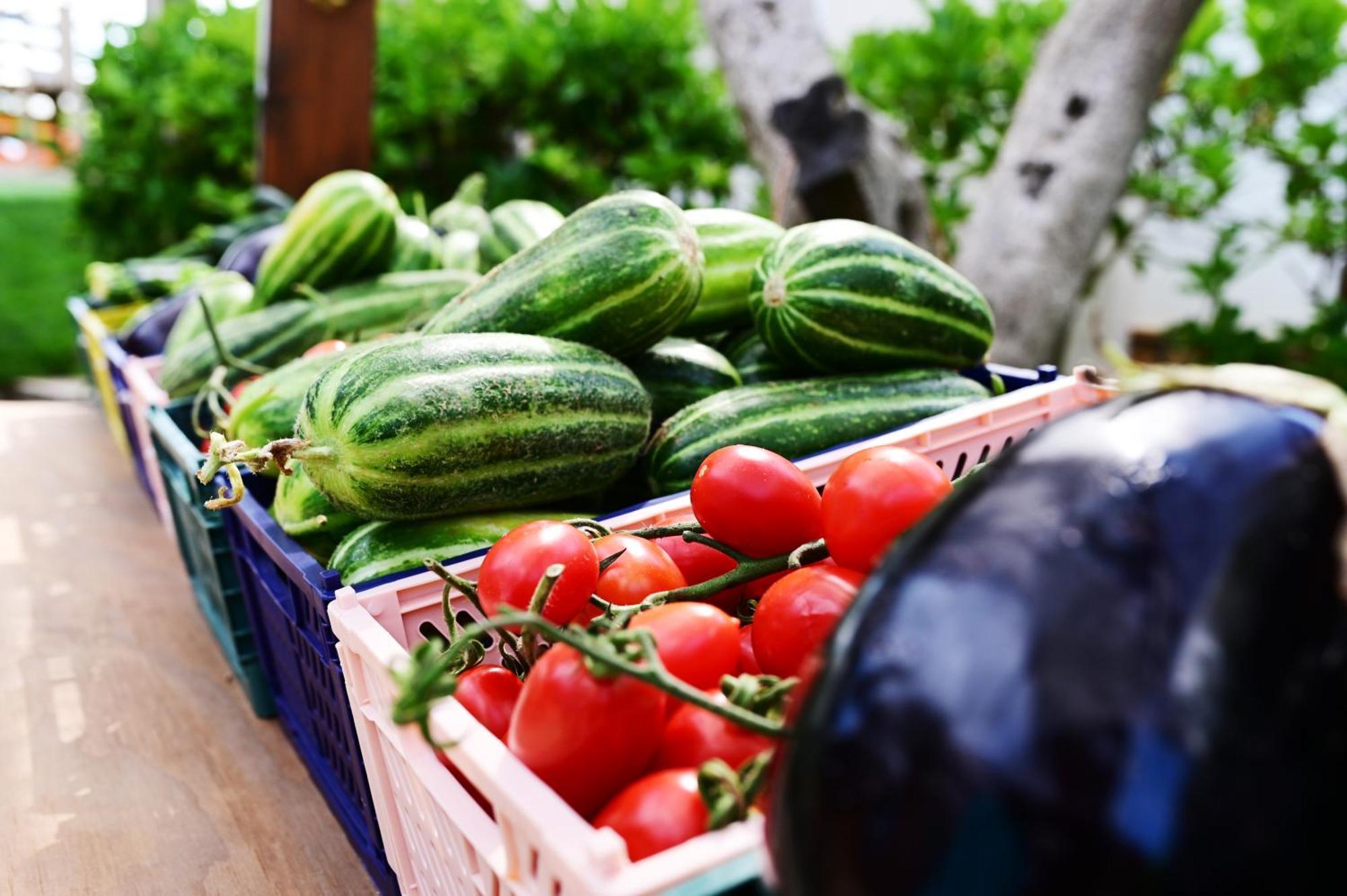 Agrifamily Village Aparthotel San Vito dei Normanni